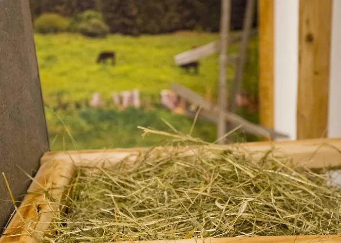 Berghoteltirol Jungholz