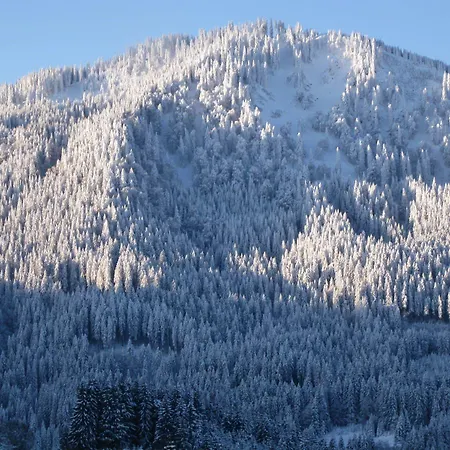 Berghoteltirol