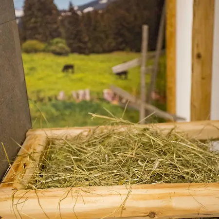 Berghoteltirol Jungholz