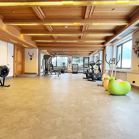 ホテル Berghoteltirol 4*
