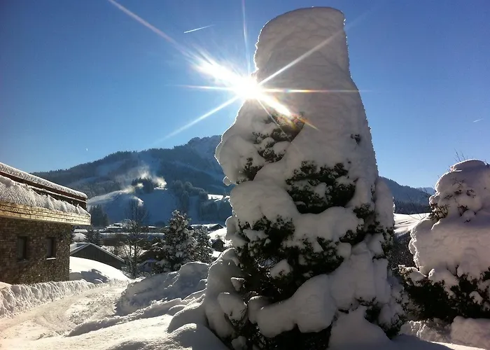 Hotel Berghoteltirol