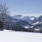 ホテル Berghoteltirol 4*