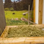 Berghoteltirol ユングホルツ