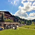 ホテル Berghoteltirol 4*